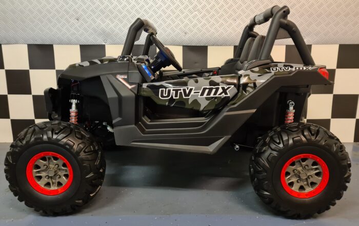 Buggy accu auto