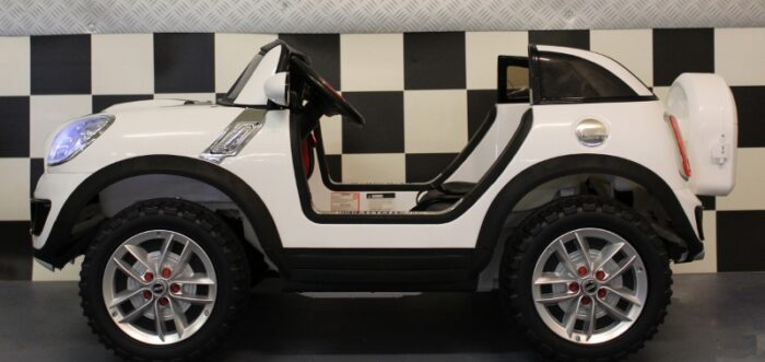 Elektrische 2 persoons beachcomber Mini 12V en RC bediening